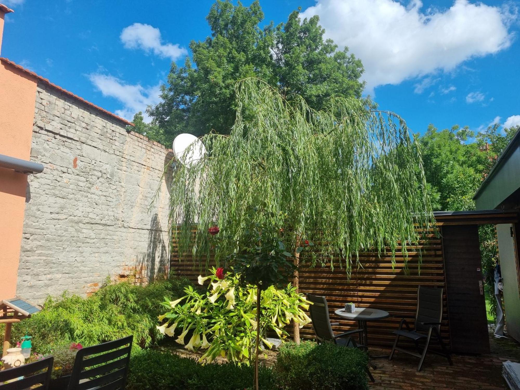 Apartments Junger-Moritz Erfurt Pokój zdjęcie
